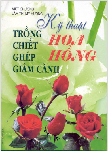 Kỹ thuật trồng chiết ghép giâm cành hoa hồng