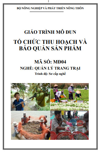 Tổ chức thu hoạch và bảo quản sản phẩm