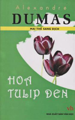 Hoa Tulip Đen