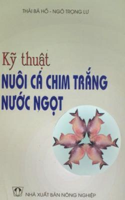 Kỹ Thuật Nuôi Cá Chim Trắng Nước Ngọt