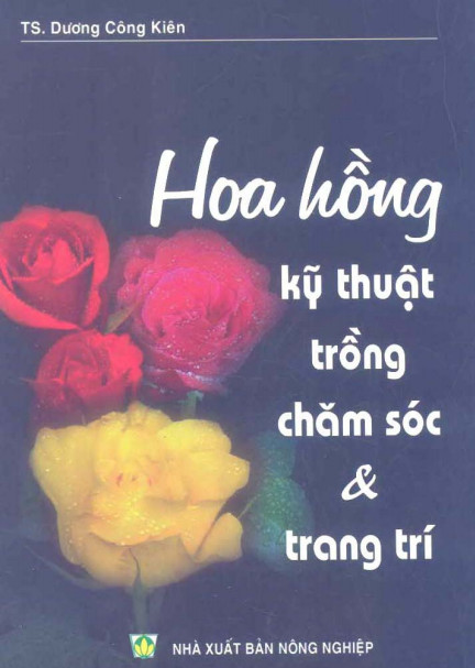 Kỹ thuật trồng, chăm sóc và trang trí hoa hồng