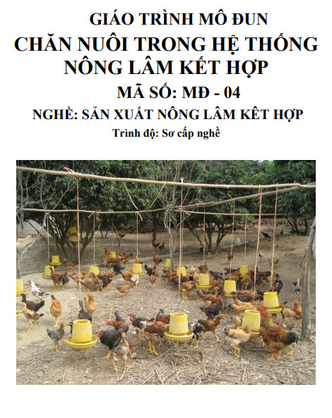 Chăn nuôi trong hệ thống nông lâm kết hợp