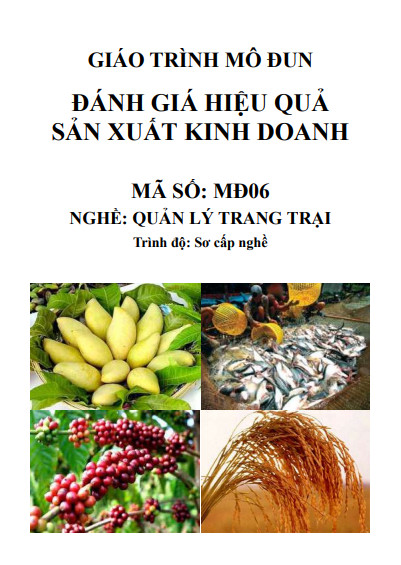 Đánh giá hiệu quả sản xuất kinh doanh